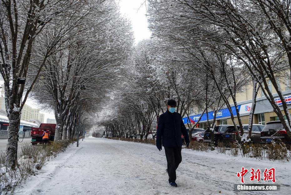 大雪过后 乌鲁木齐街头"玉树琼花"