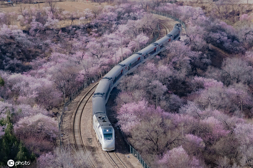 各国开往春天的列车一路看繁花似锦邂逅人间四月天