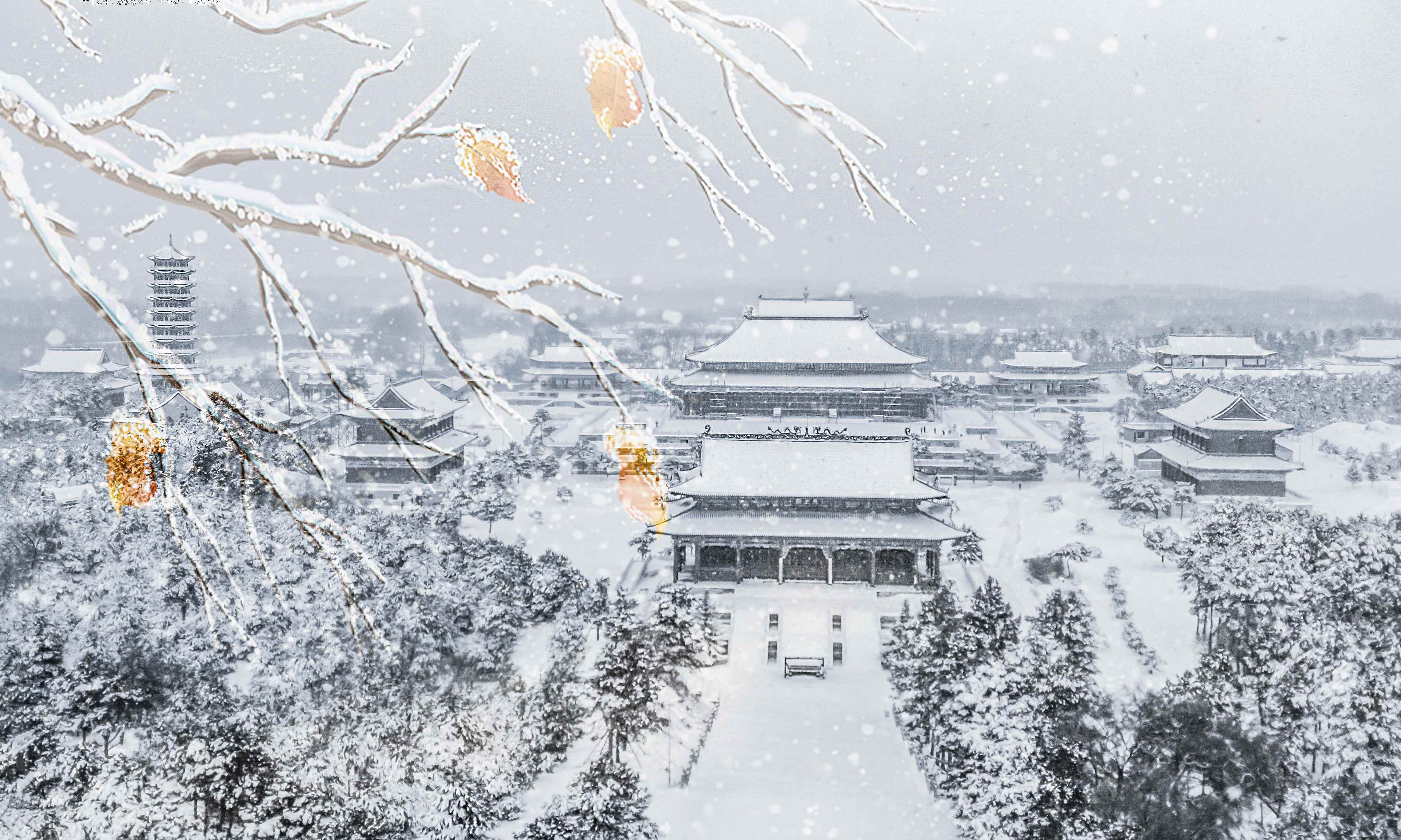 吉林松原迎今冬首场大雪冰天雪地美景如画