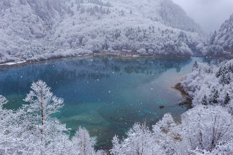 四川九寨沟迎春雪白雪海子蓝白呼应造就梦幻冰雪世界