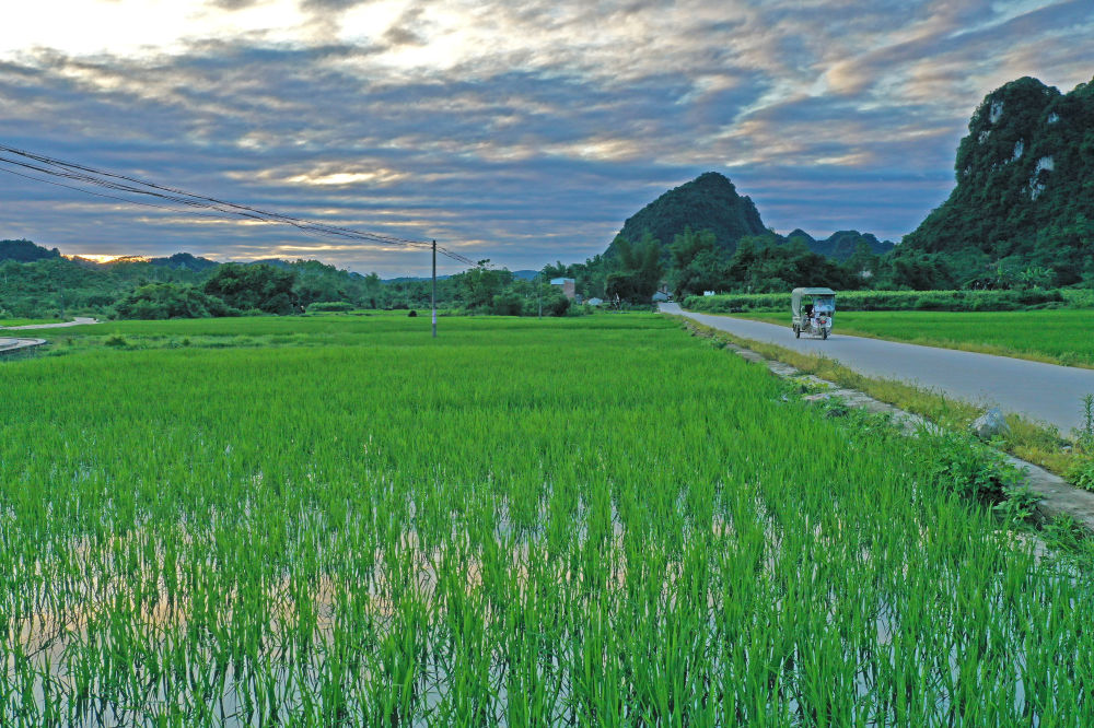 这是广西环江毛南族自治县大才乡重楼村夏日田园景色(5月25日摄,无