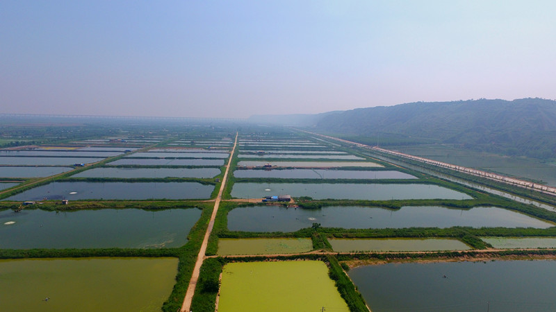 被命名为中国红提之乡,国家无公害水果生产基地县,国家标准化水产养殖