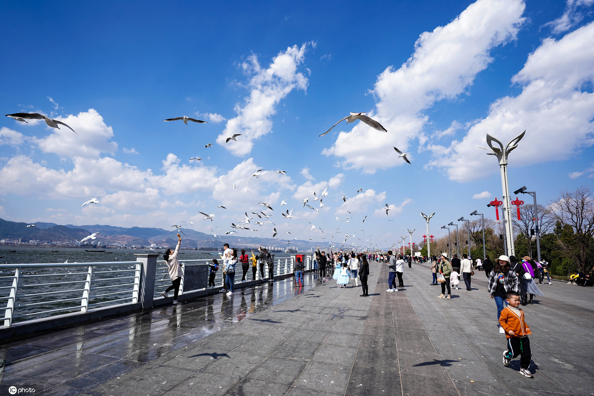 云南昆明:市民到海埂大坝喂鸥观景
