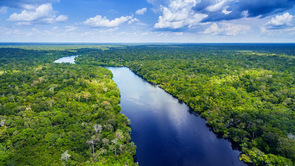巴西气象学者如去森林化趋势无法被遏制亚马孙雨林5年内可能退化成