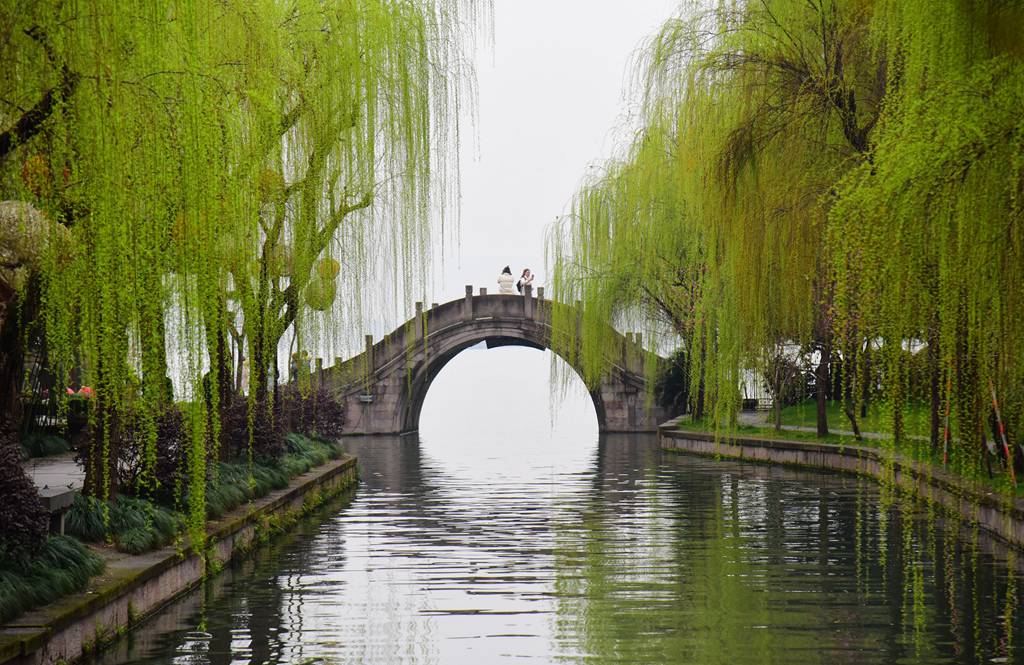 2021年3月8日,杭州阴雨天气.西湖景区杨柳青青,景色宜人.