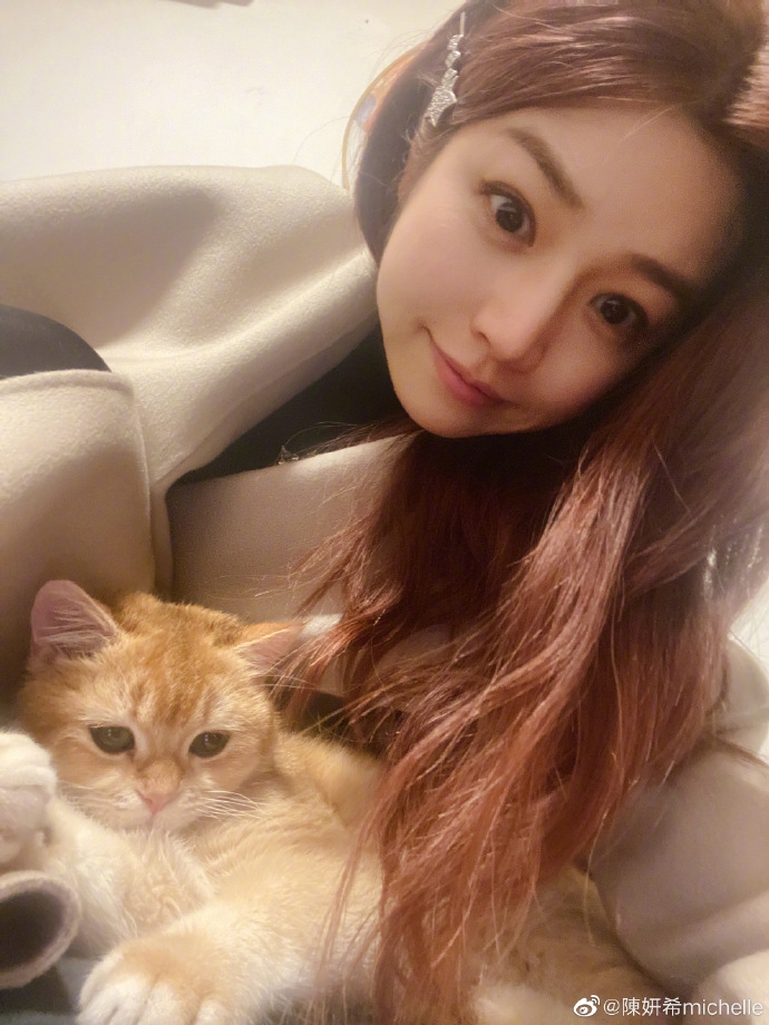 陈妍希怀抱猫咪呆萌合照 淡妆出镜皮肤白皙
