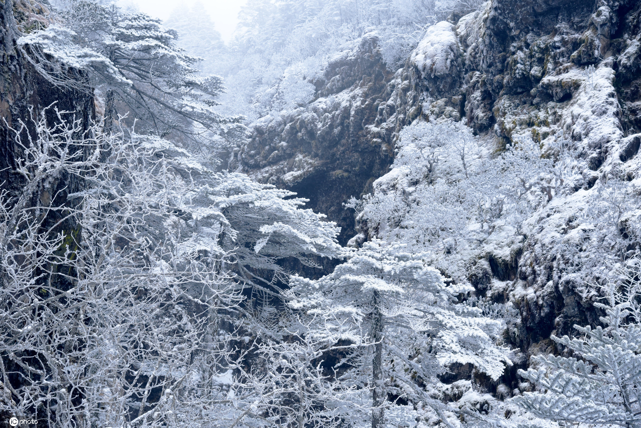 云南昆明轿子雪山现绝美雪景 宛如童话世界