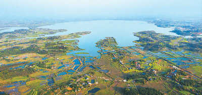 远眺华容东湖国家湿地公园.王绮平摄