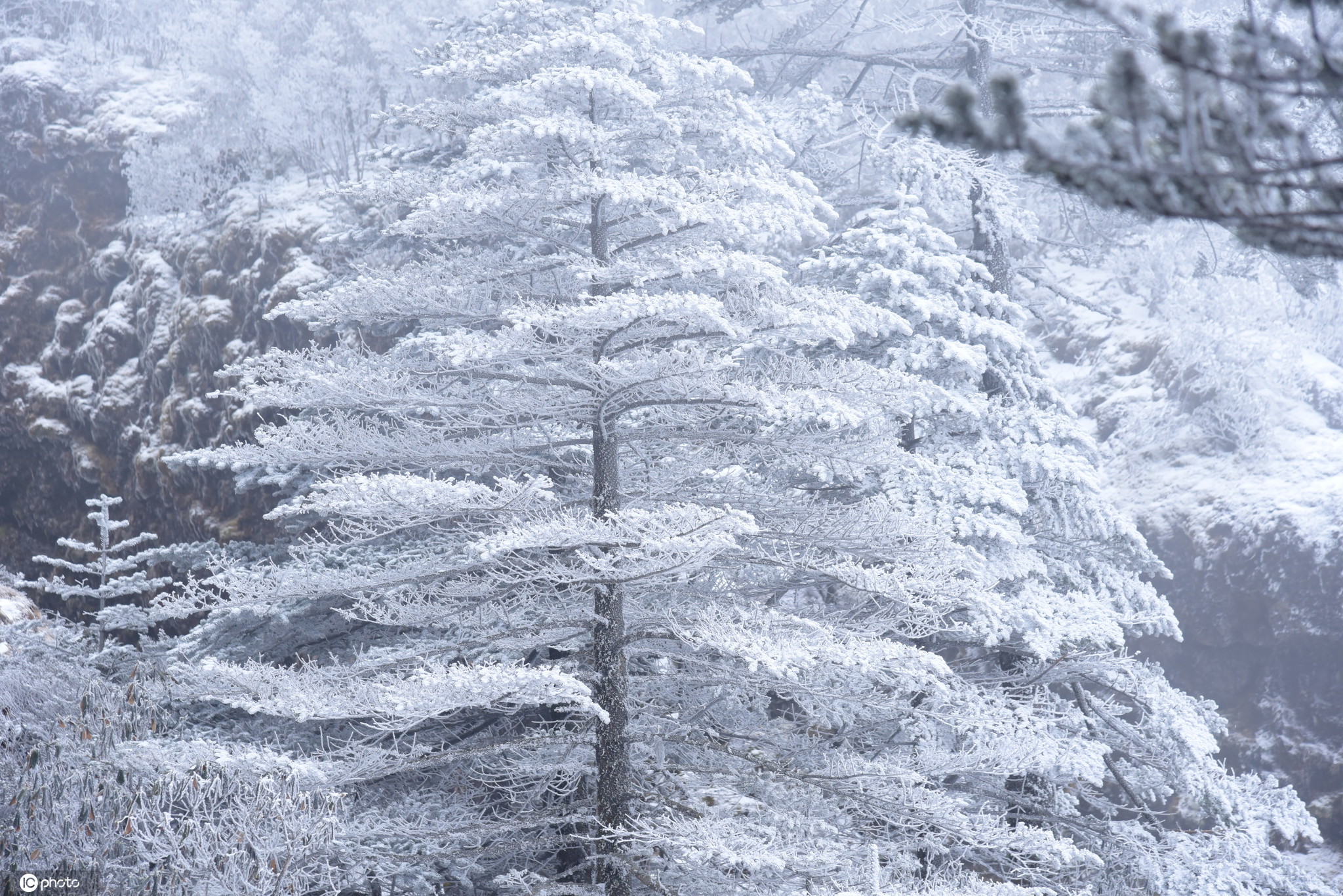 云南昆明轿子雪山现绝美雪景宛如童话世界