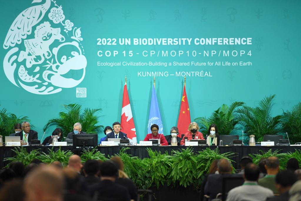 《生物多样性公约》第十五次缔约方大会(cop15)第二阶段会议19日凌晨