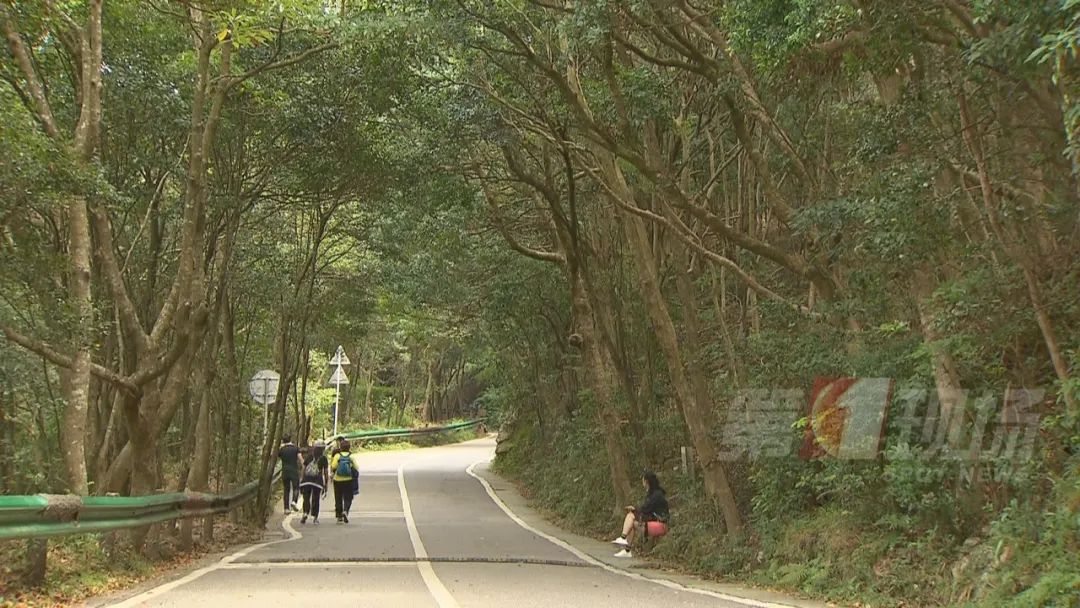 梧桐山看风景,脚下一滑!男子跌落近90度山崖