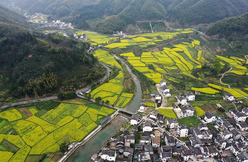 安徽启动四条生态廊道建设 规划增绿近40万亩
