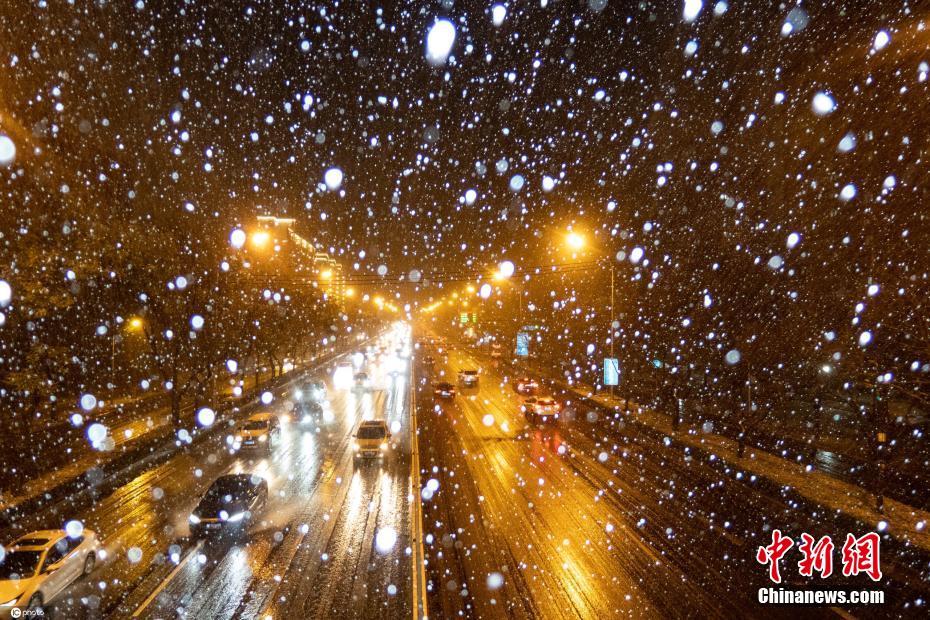 北京迎初雪雪花飘落太美丽