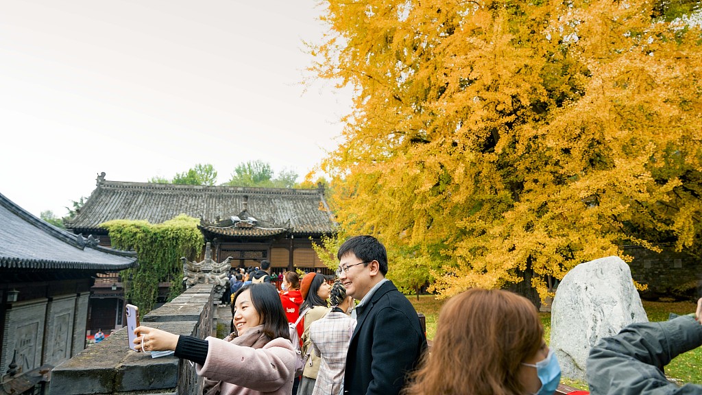 西安:古观音禅寺千年银杏树进入观赏期