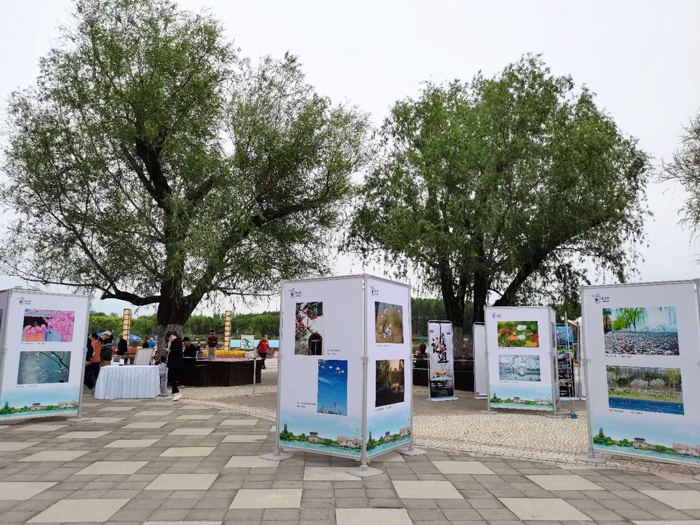 “大运河春花儿”摄影大赛作品展