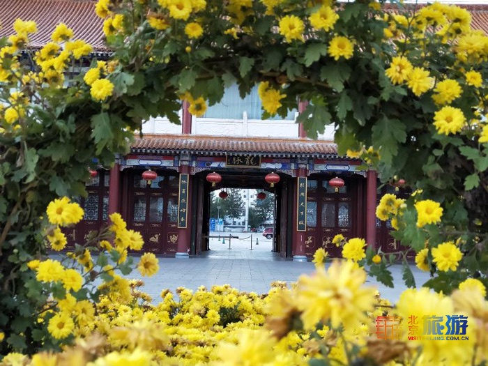 龙脉温泉风光