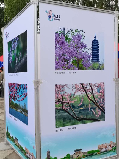 “大运河春花儿”摄影大赛作品展