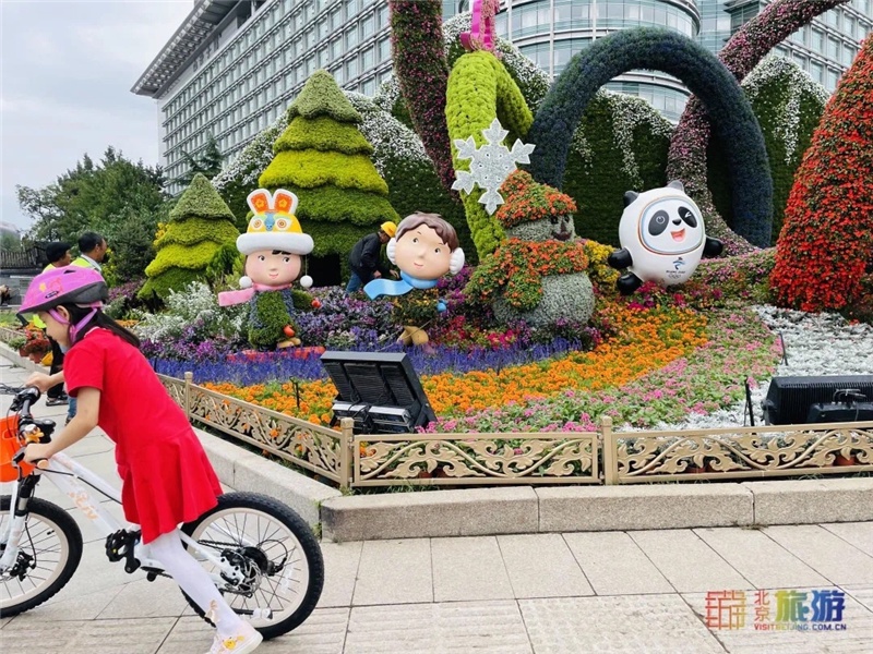 骑车前来打卡的小朋友和这个场景太搭了