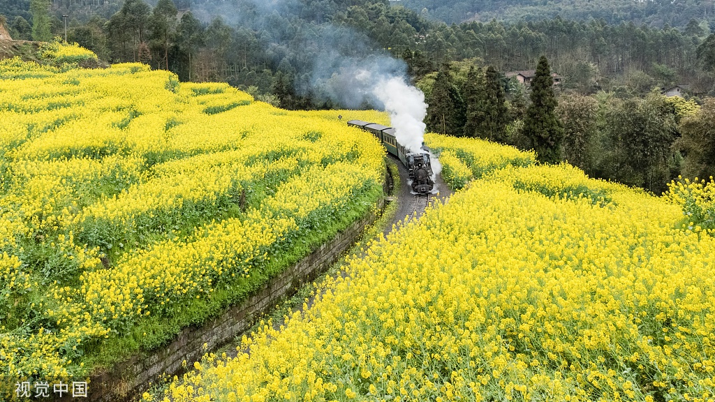 通往春天的小火车