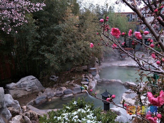 龙脉竹林温泉图片