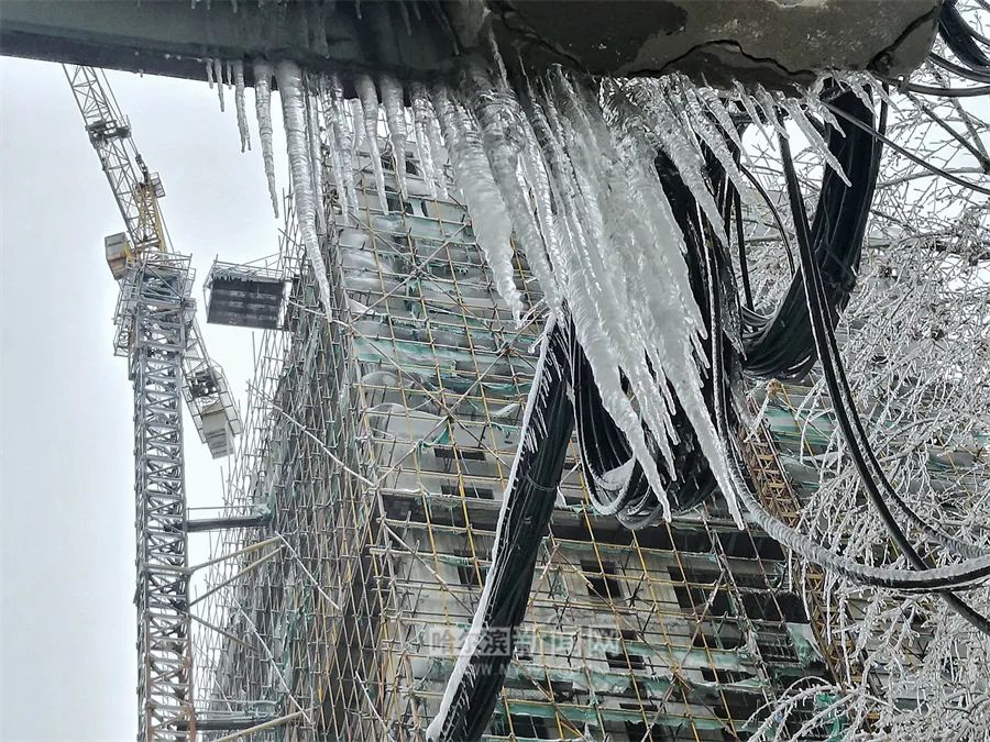 出现的冻雨,黑龙江省气象台首席预报员邵美荣表示,冻雨也叫凝冻或凌冻