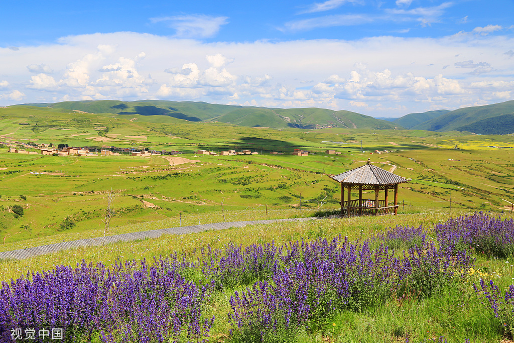 四川阿坝草原风光旖旎