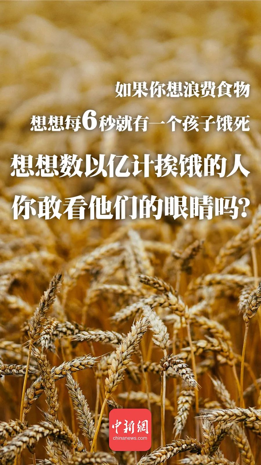 饱人不知饿人饥 3w.huanqiu.com