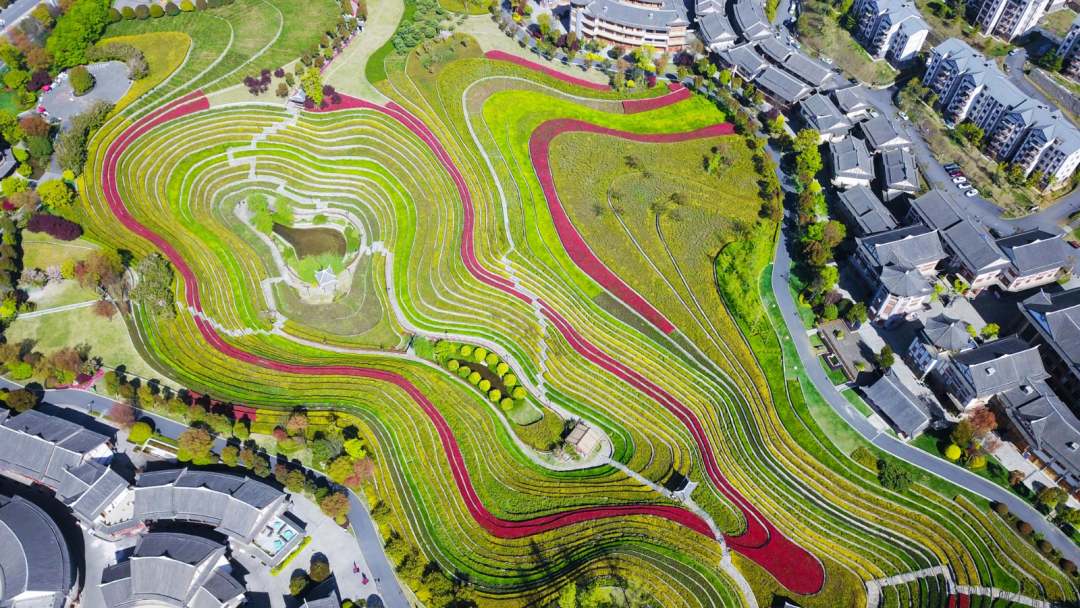 美如画卷这是贵州毕节的梯田景色