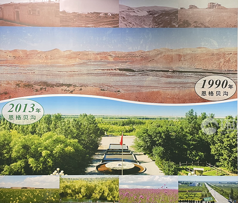 1990年恩格贝沟与2013年恩格贝沟 恩格贝沙漠科学馆供图