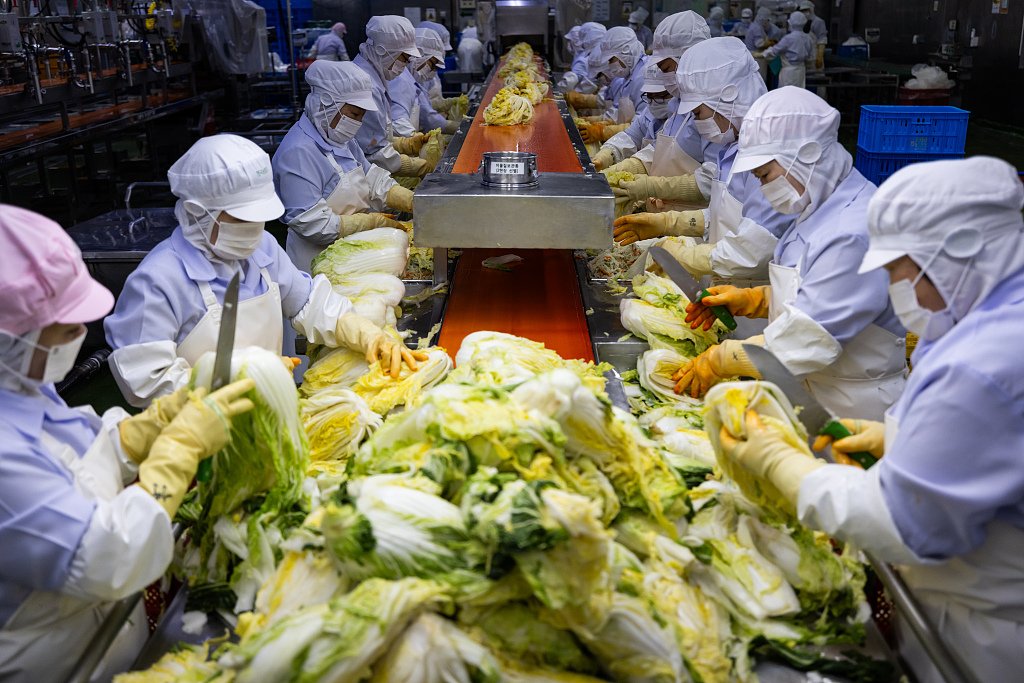 当地时间2023年12月14日，韩国涟川郡，韩国农协泡菜工厂的员工在生产线上给泡菜调味。韩国央行(Bank of Korea)定于12月21日公布韩国11月份生产者价格指数(ppi)。（图源 视觉中国）