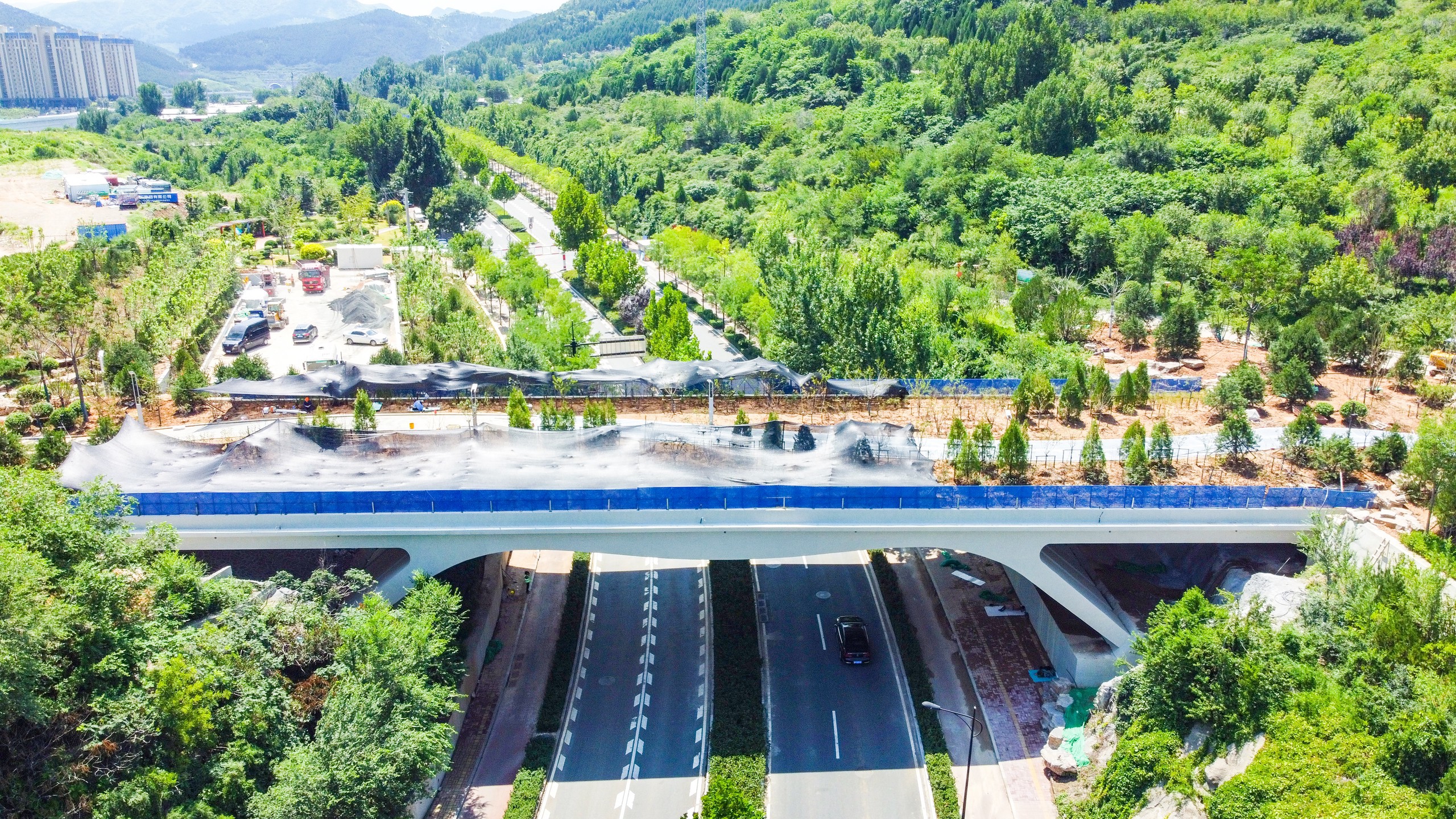 预留了步行通道,施工人员开始植树造绿,打造生态景观