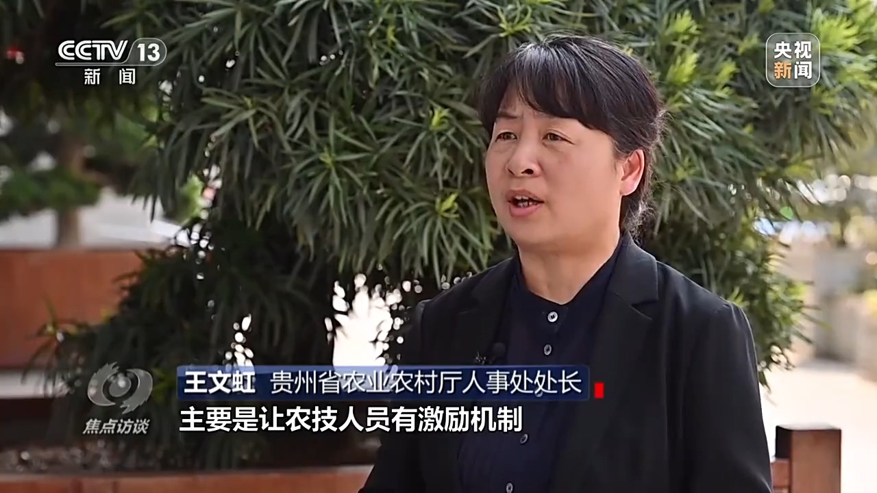 焦点访谈丨揭榜挂帅!他们将"解题"妙招送到田间地头