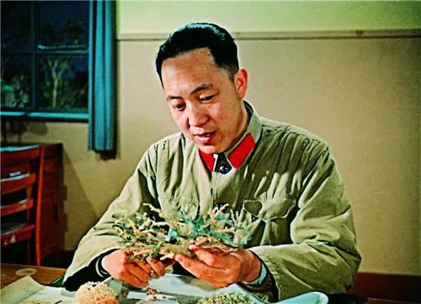 上世纪60年代，吴孟超在制作肝脏血管铸型标本