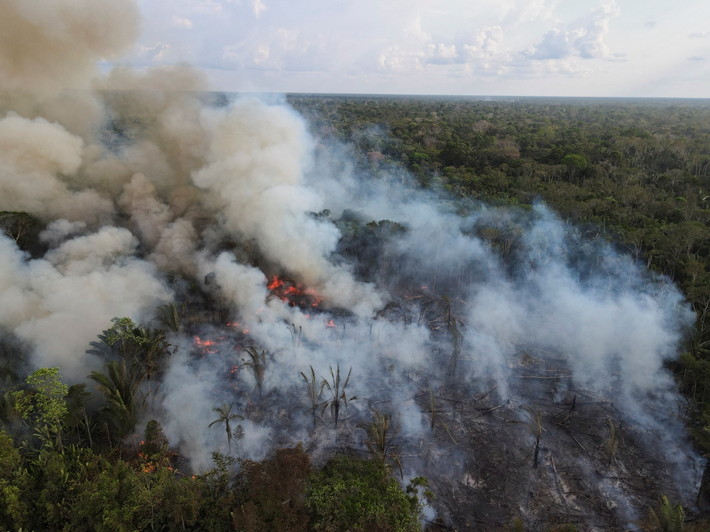 地球之肺连年遭破坏亚马孙雨林8月发生近3万起火灾