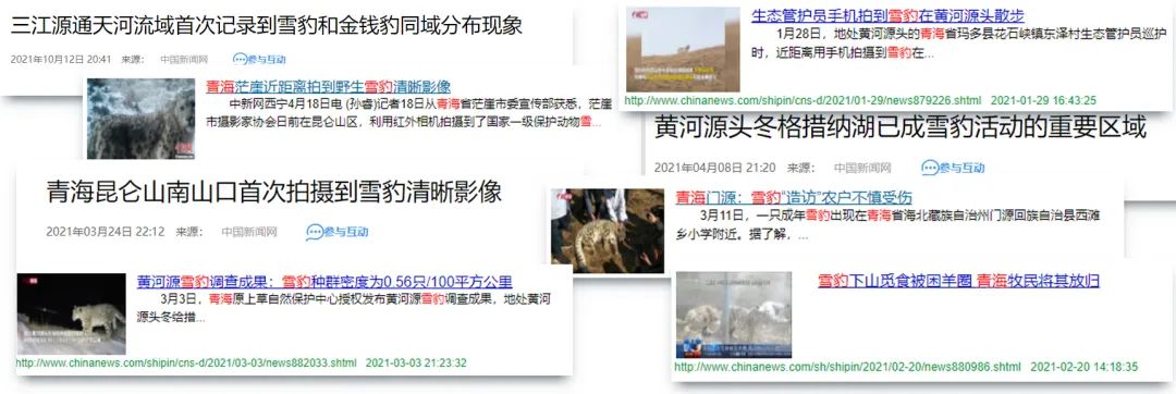 仅2021年,青海发现的雪豹踪迹报道截图