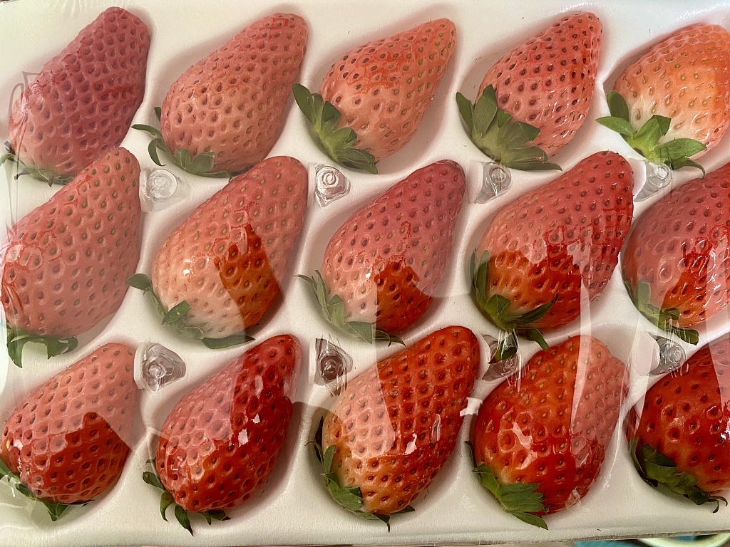 红颜草莓资料图 图源视觉中国