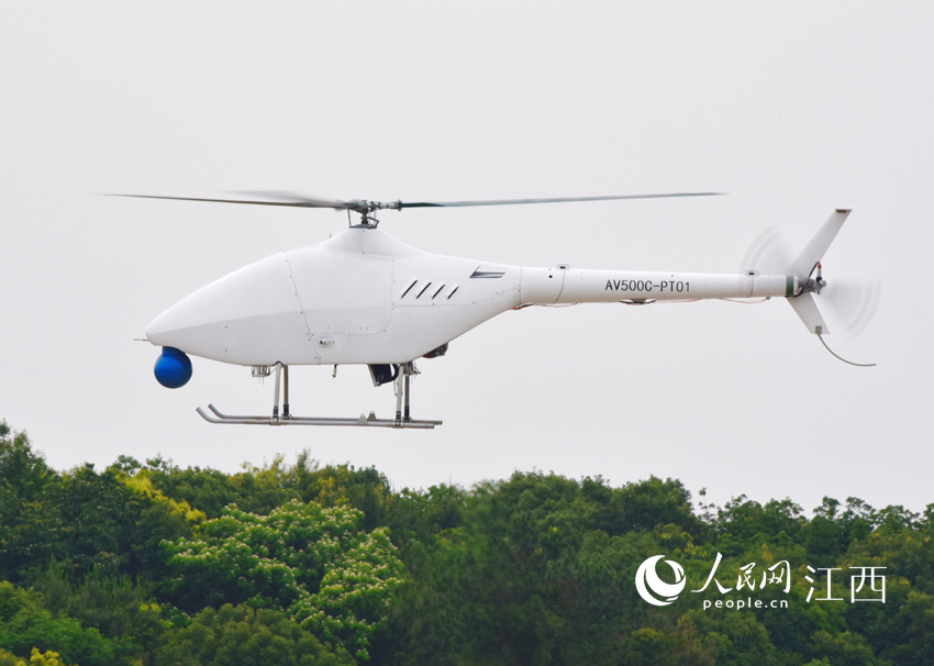 AR500C高原型无人直升机在鄱阳无人机基地成功实现首飞。（何欢/摄）