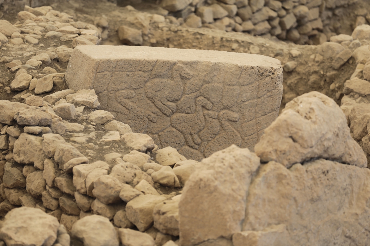 探访世界最古老神土耳其哥贝克力巨石阵