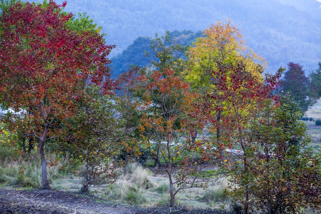 初冬时节 安徽黄山塔川景色美如画