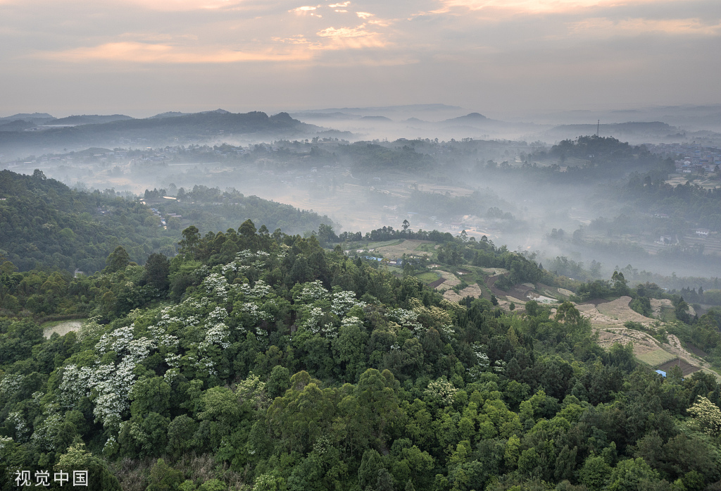 2022年4月27日,四川省眉山市仁寿县禾加镇五龙山风景区云雾缭绕,宛若