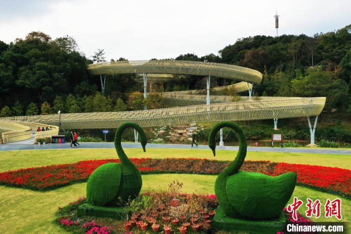 步道蜿蜒盘山而上，叠翠群峰，盘旋辗转，采用的是钢架镂空设计，是江西唯一的钢架镂空步道。 刘占昆 摄