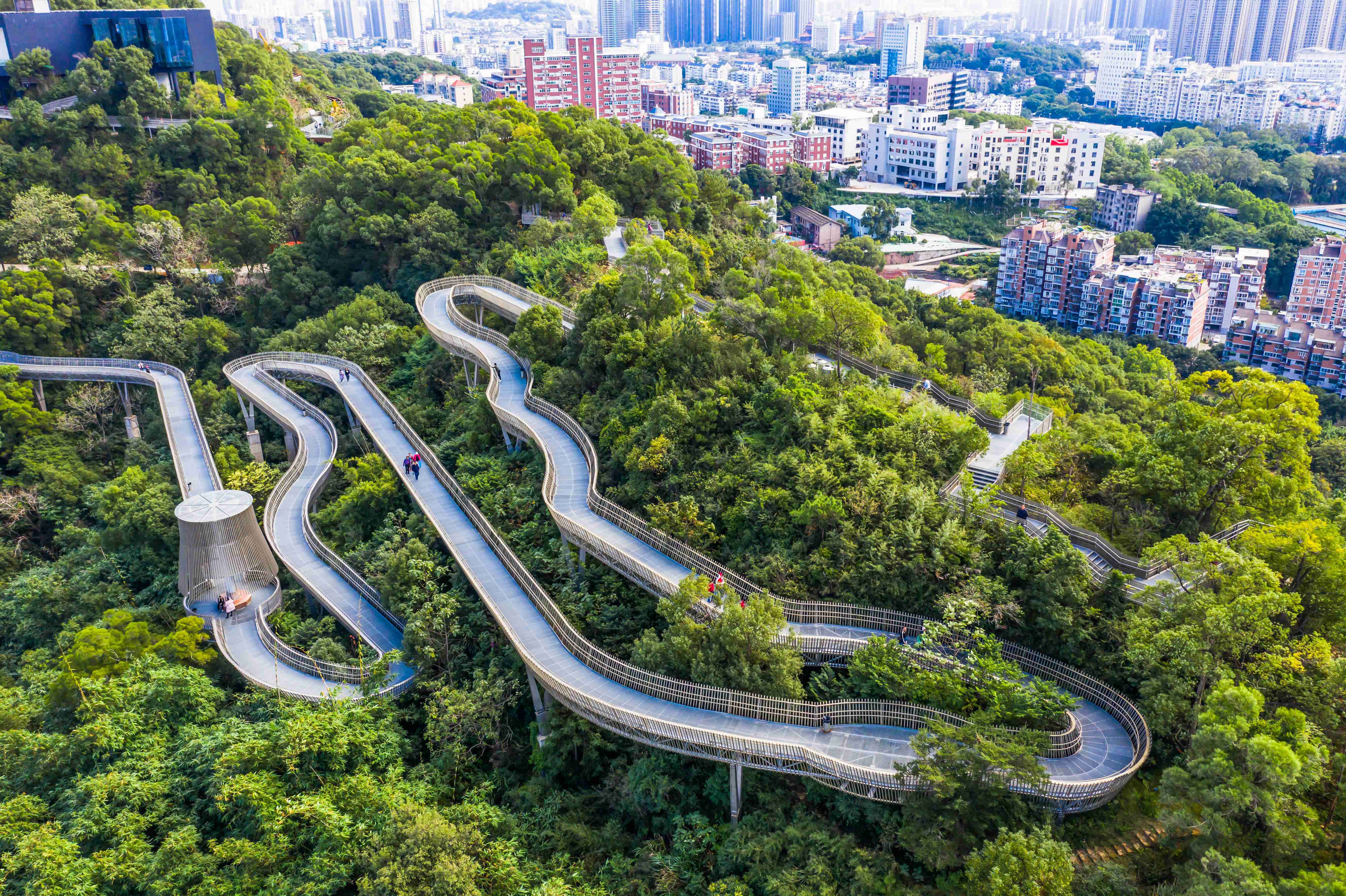 2018年12月11日,福州的福道珍珠般地串联起十几处自然人文景观,如杜鹃