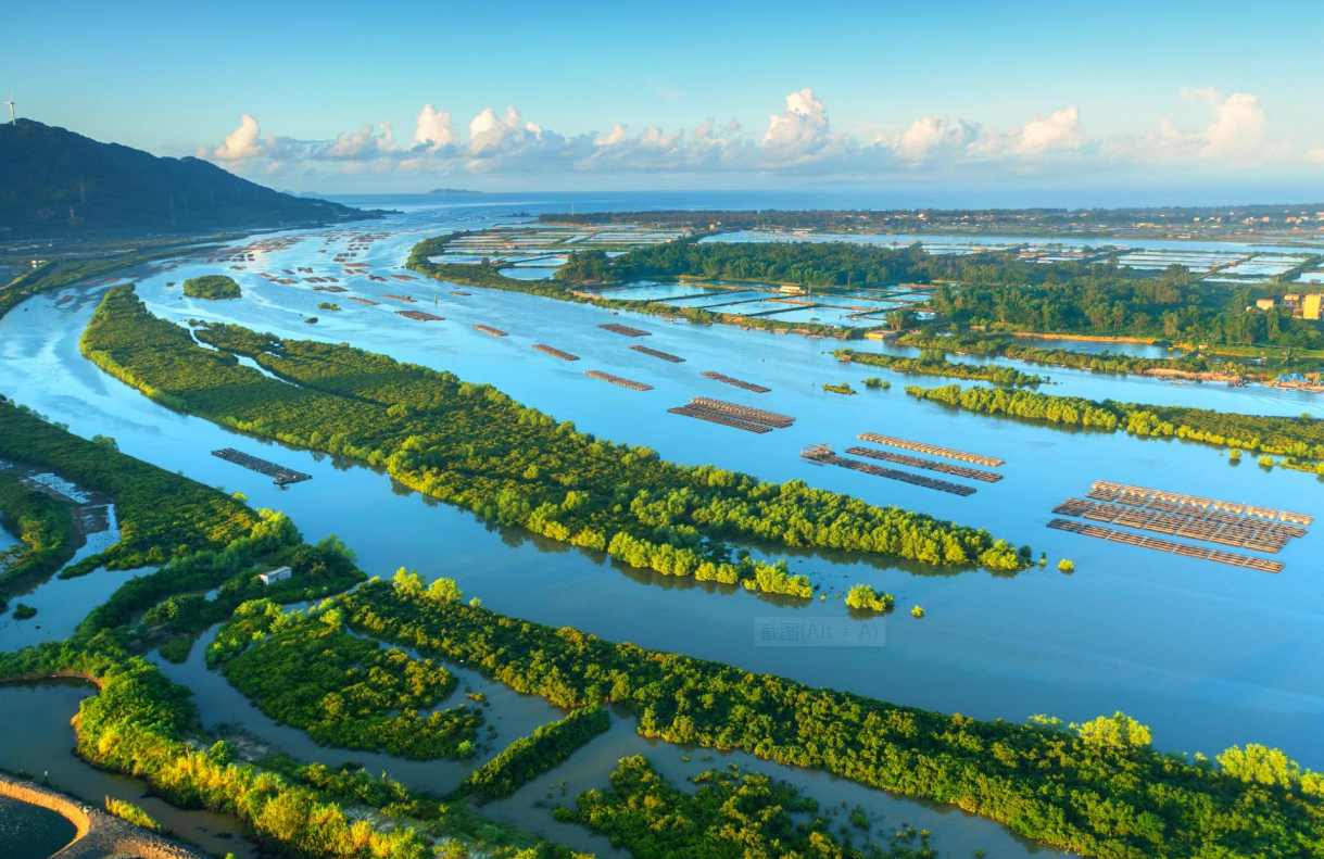 广东阳东寿长河红树林国家湿地公园