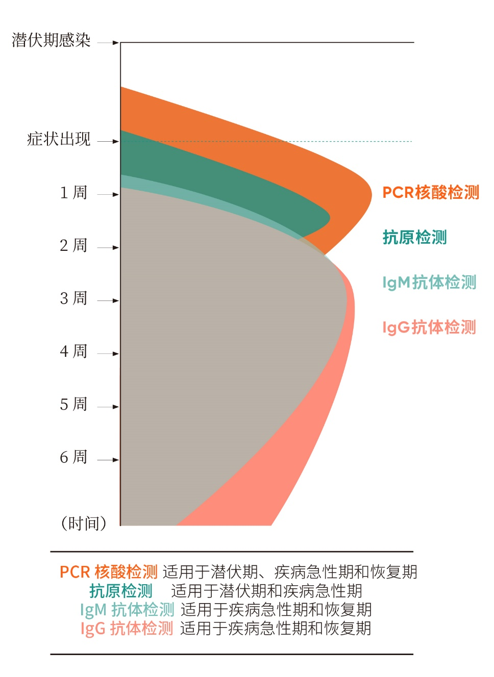 新型冠状病毒检测项目在不同感染病程中的应用示意图