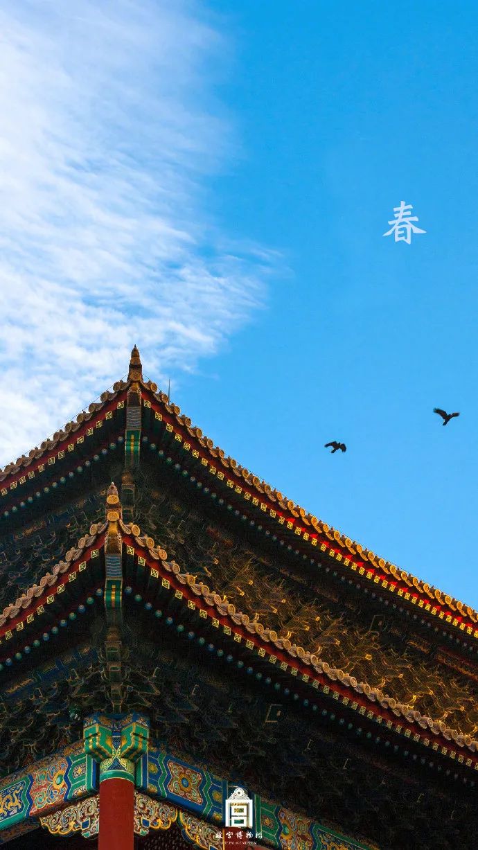 故宫雪景新片来了带你看紫禁城绝美四季