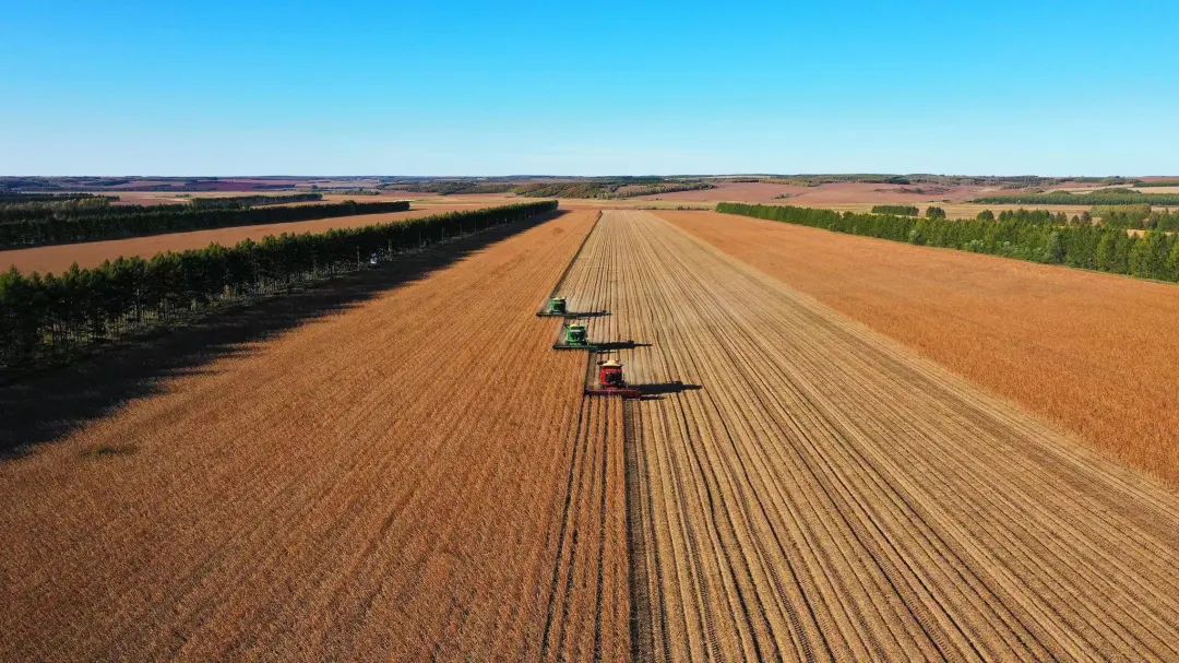 大国重器——北大荒打造"中国饭碗""农业航母"记