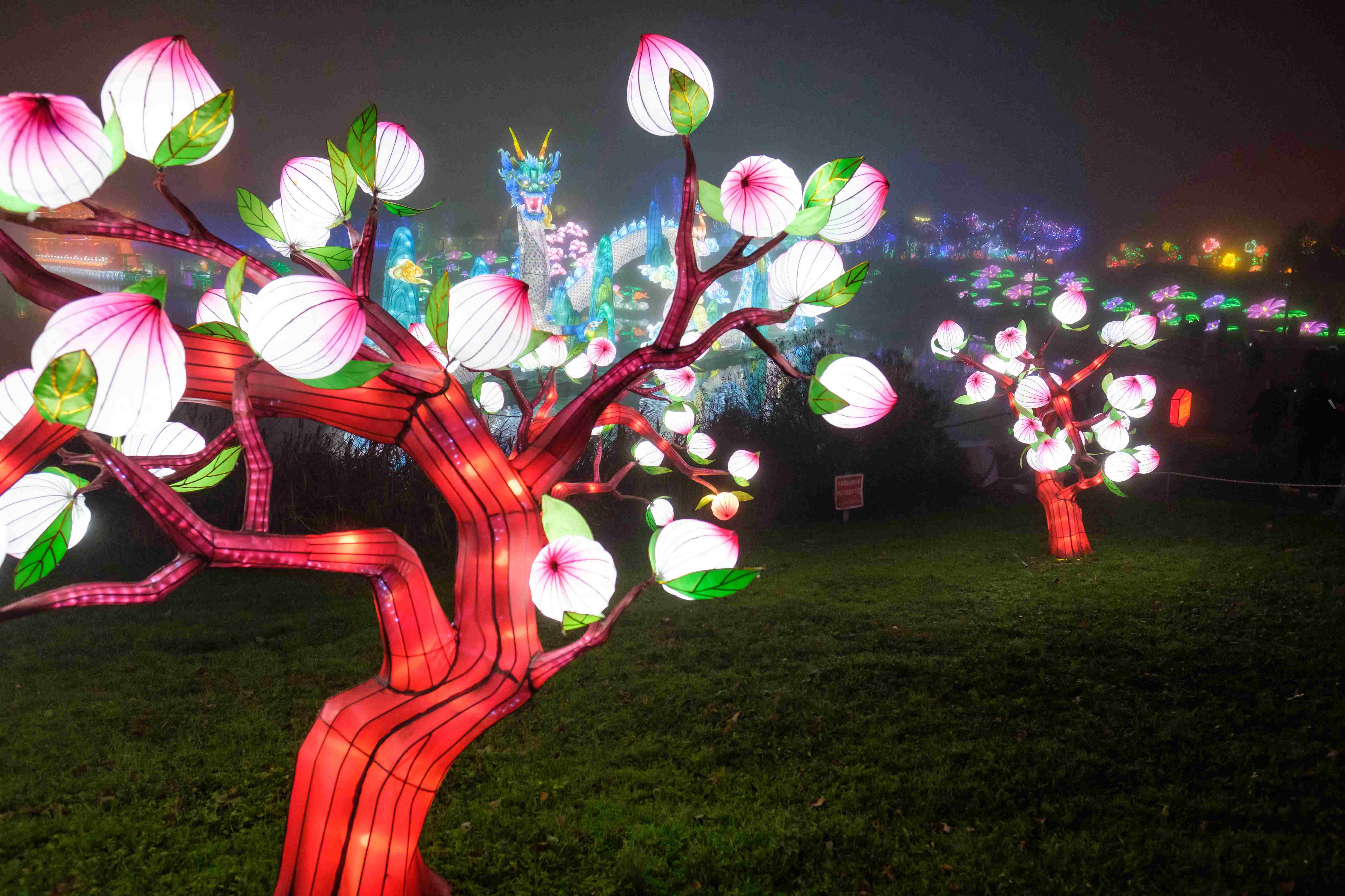 中国传统绚丽花灯亮相法国熊猫巨龙栩栩如生