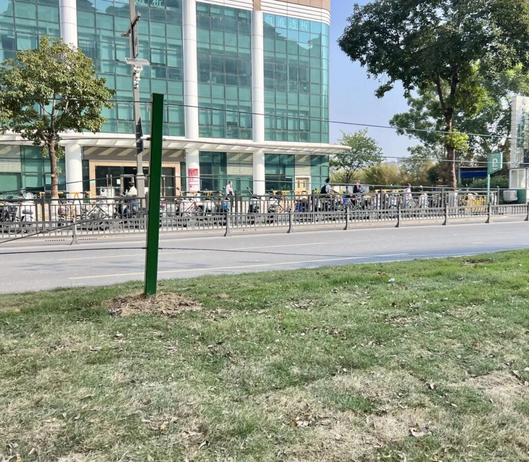 视频中出现的草地发黄而干枯