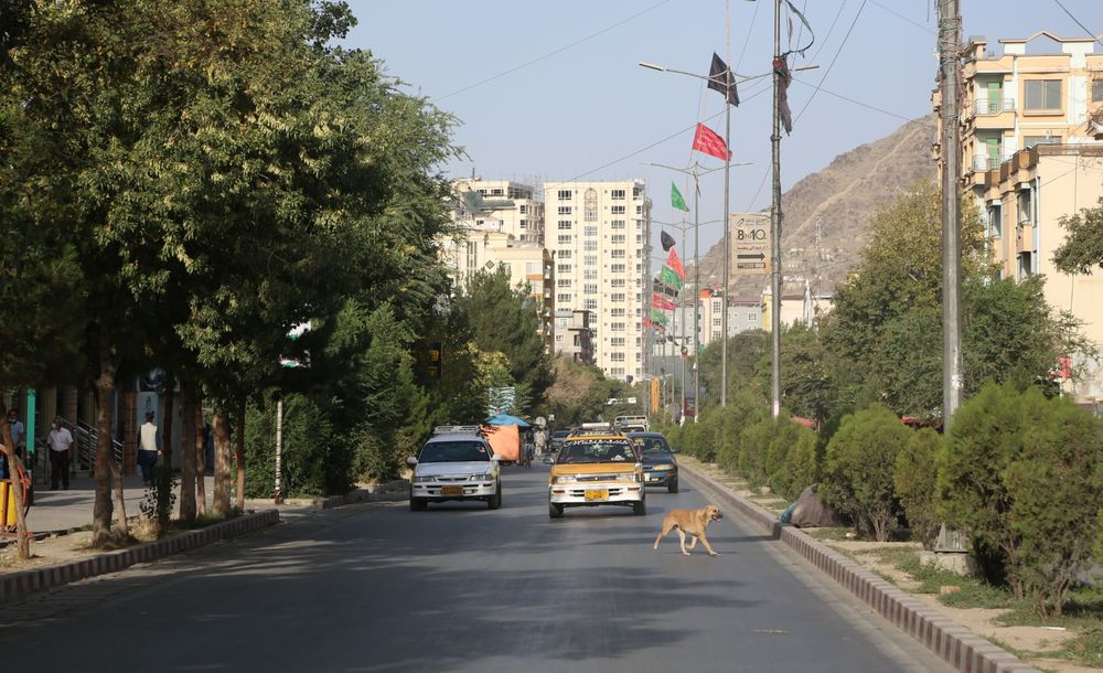 喀布尔机场传枪声美国抛弃昔日友人