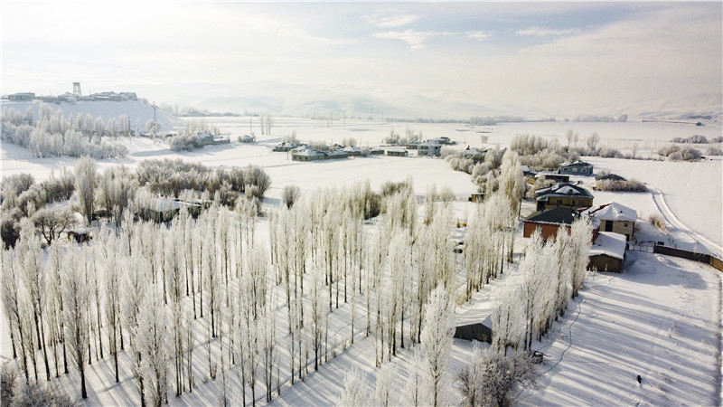 土耳其凡城迎来大雪白茫茫宛如童话世界